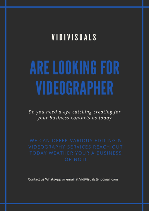 VidiVisuals image 3
