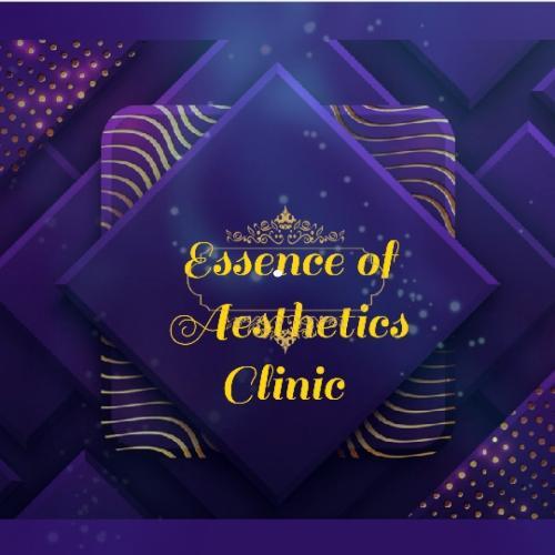 Essence of Aesthetics image 1